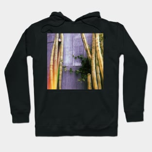 Los Angeles Cactuses Hoodie